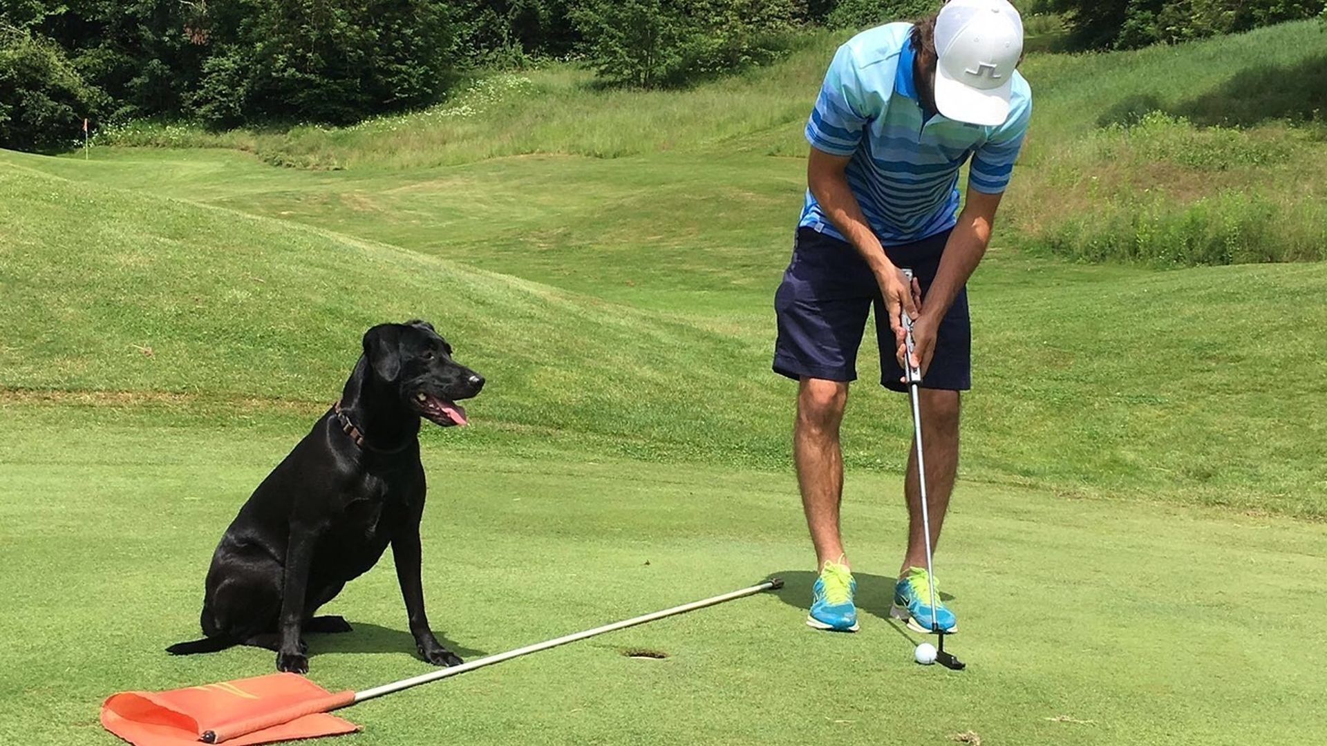 V Korutanech si zahrajete golf se čtyřnohými mazlíčky