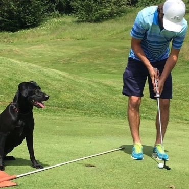 V Korutanech si zahrajete golf se čtyřnohými mazlíčky