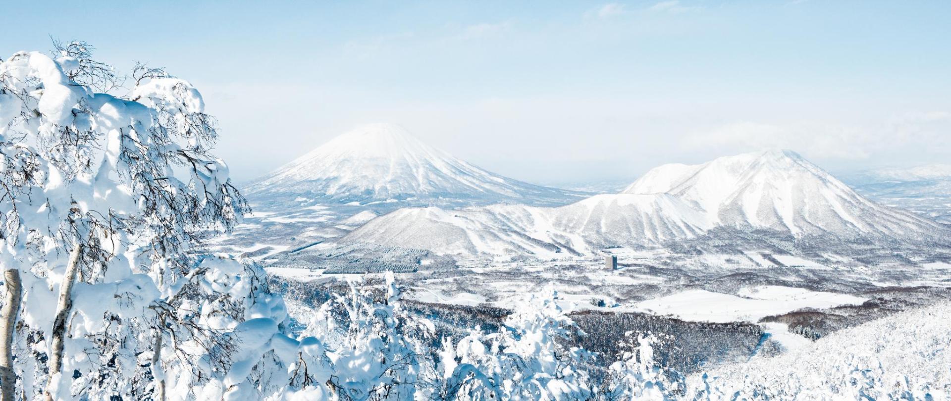 Japonsko, království bílého zlata