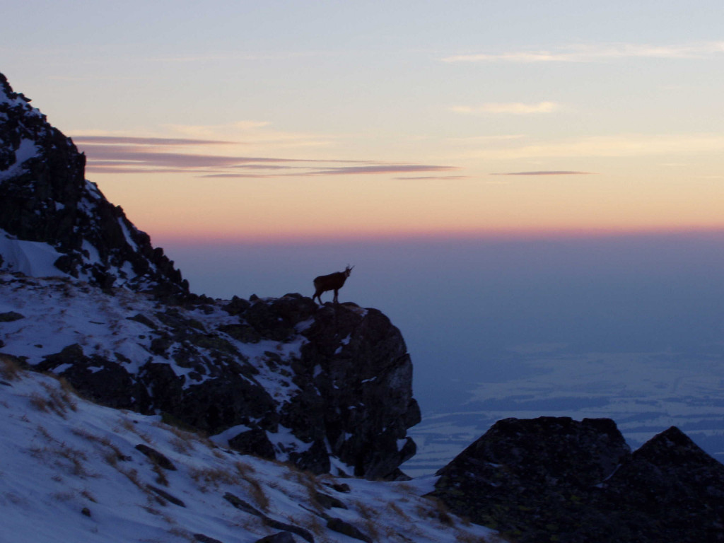 Vysoké Tatry