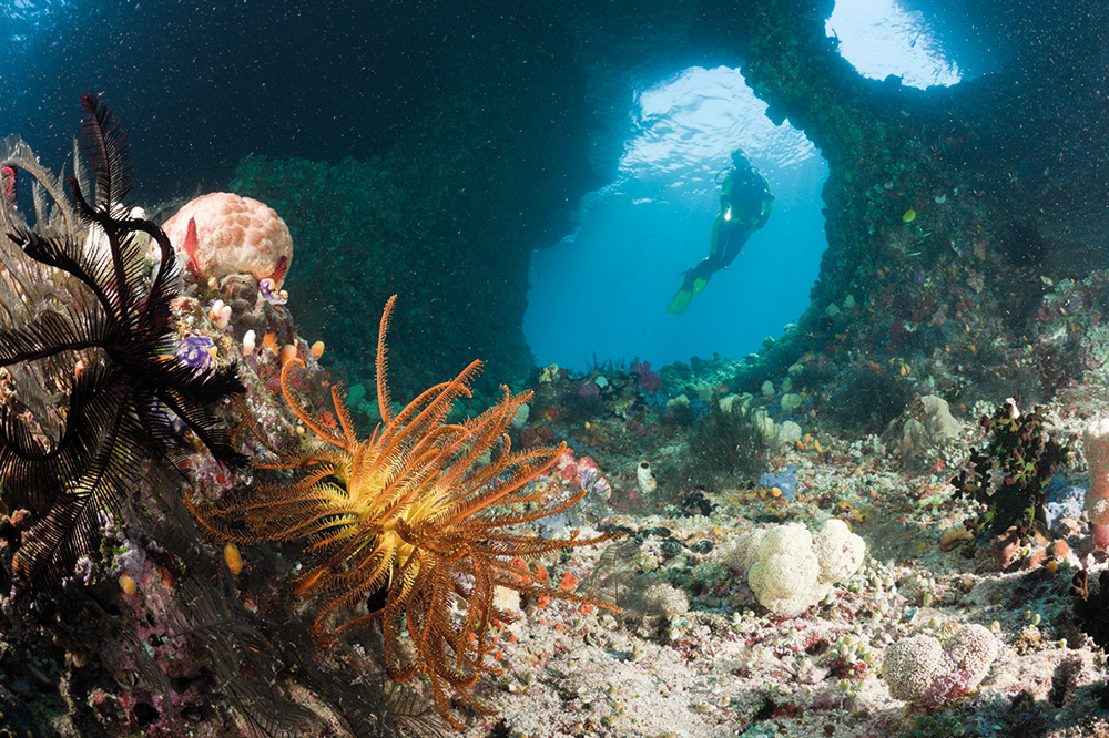RAJA AMPAT: Ráj na zemi, ze kterého se tají dech
